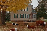 by Adam Defrang