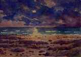 by gerard nicolle