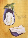 by Cathy Savels