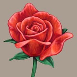by Ruth Ducker
