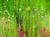by Kathie Nichols