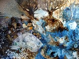 by oxana zaika