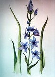 by michelle legere