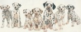 by Barbara Keith