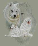 by Barbara Keith