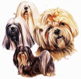 by Barbara Keith