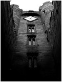 by Stephen Daly