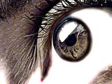 by Astrid Lohin