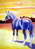 by Karin Ruoff Skalla