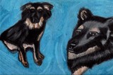 by Jo-Ann Hayden