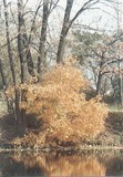 by Joan Stohlman
