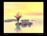 by Astrid van der Eerden
