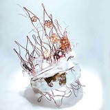 by ANS BAKKER