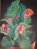 by Sandra McClure