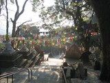 by Astha Tuladhar