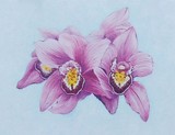 by Jodi Bilske
