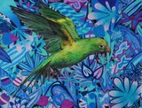 by Natalia Bernatek