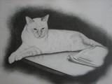 by myra naito