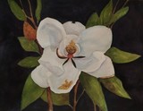 by Bobbin Salisbury