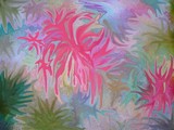 by Sandra Fann