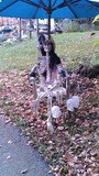 by Maureen Bloesch