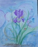by Patricia Elgee