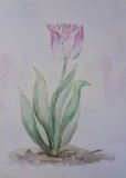 by Patricia Elgee