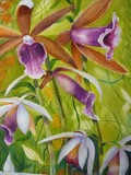 by Lianne Juster
