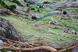 by DAVID VAN DERVEER