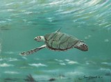 by Susan E. Wolding