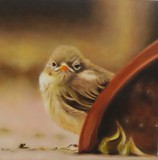 by hannie staat