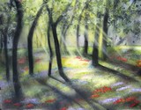 by Lorrie Bridges