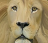 by Lori Jones