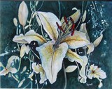 by Sherrell Harper