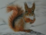 by Trudy Barlow