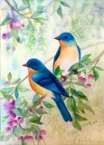 by Mingming  Peng