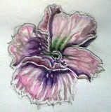 by Dana Koffenberger