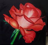 by Katrina Papoutcharov
