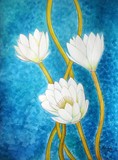 by Surekha  Rao