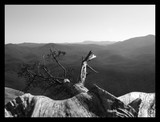 by Austin Brodfuhrer
