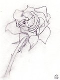 by Shantal Legault