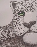 by Alex Liggett