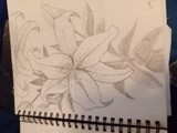 by Frances Hughey