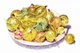 by Bense László