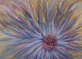 by Donna Ryant