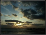 by Nira Dabush