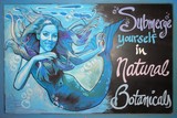 by Tegan Bellitta 