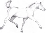 by Lady DaVinci