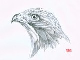 by zufri tubagus
