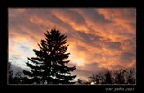 by DEE JOBES PHOTOGRAPHY